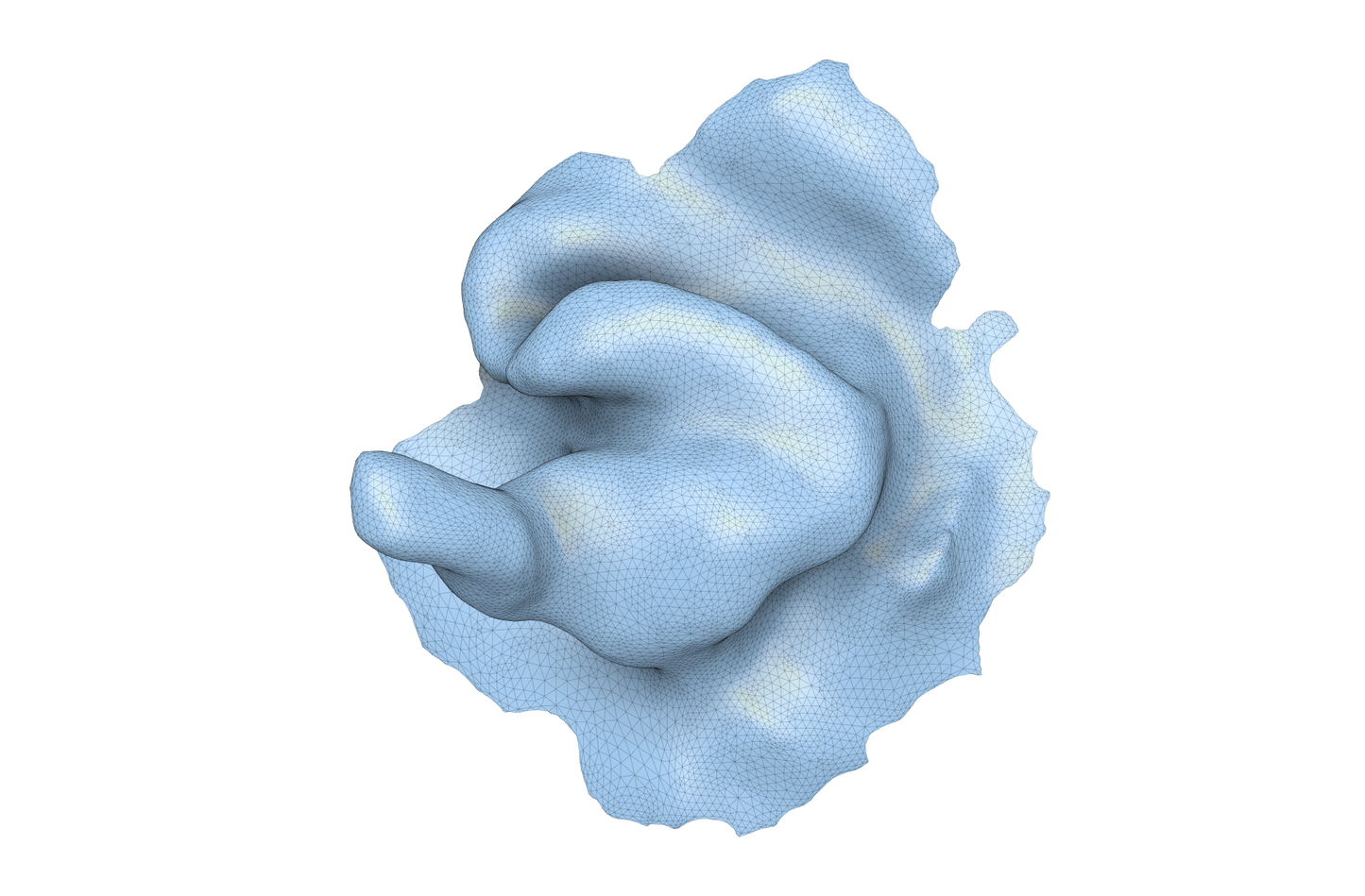 Auricle Digital Single Manufacture Scan File